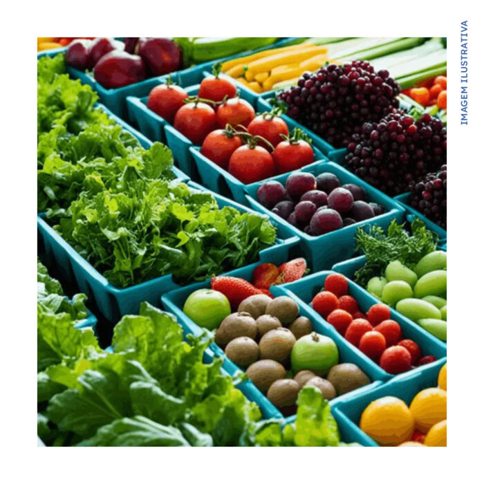 HORTIFRUTI E MERCEARIA - Imagem 3